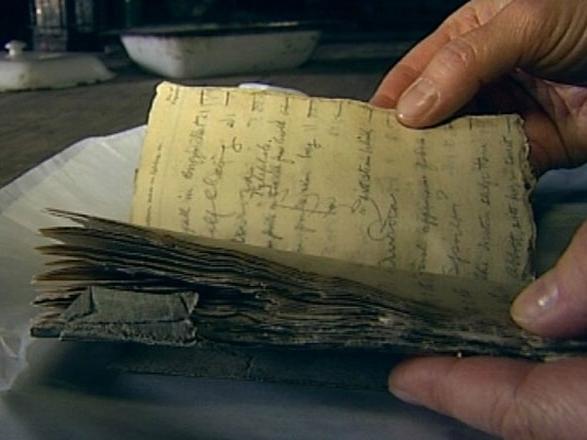 Clip hài: 'Sấp mặt' khi nghịch dại với máy cắt cỏ-1