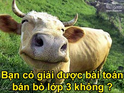 Ảnh hài: 'Chộp' những tình huống tình cờ đầy bất ngờ-9