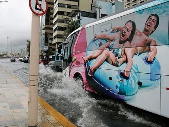 Ảnh hài: 'Chộp' những tình huống tình cờ đầy bất ngờ