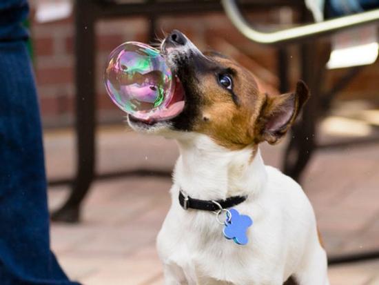 Ảnh hài: 'Chộp' những tình huống tình cờ đầy bất ngờ (P2)