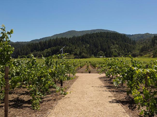 Siêu dinh thự nghìn tỷ gây sốt vì có vườn nho rộng bạt ngàn-4