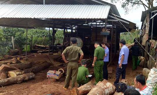 Thanh niên 22 tuổi bị máy cưa gỗ cắt đôi cơ thể-1