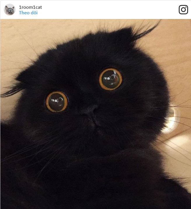 Điểm mặt 10 tài khoản Instagram được theo dõi nhiều nhất Hàn Quốc-2