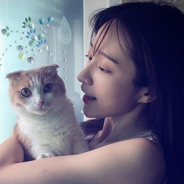 Xuất hiện nữ thần tượng sở hữu gương mặt mộc đẹp đến mức được xếp vào top 5% nhan sắc-2