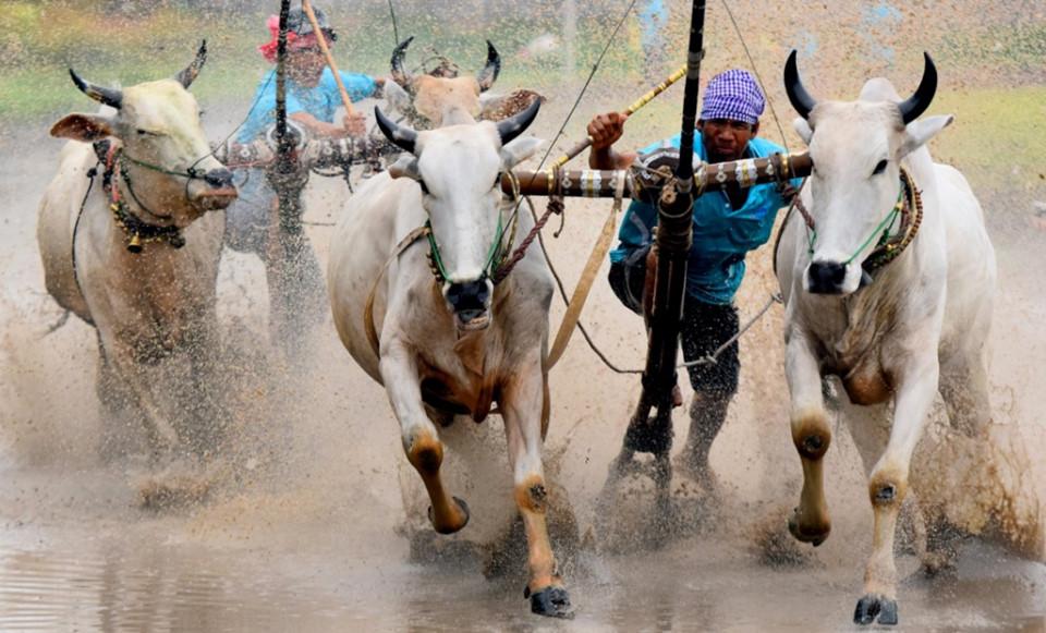 Tinh hoa văn hóa trong cuộc thi ảnh 'Dấu ấn Việt Nam'-8