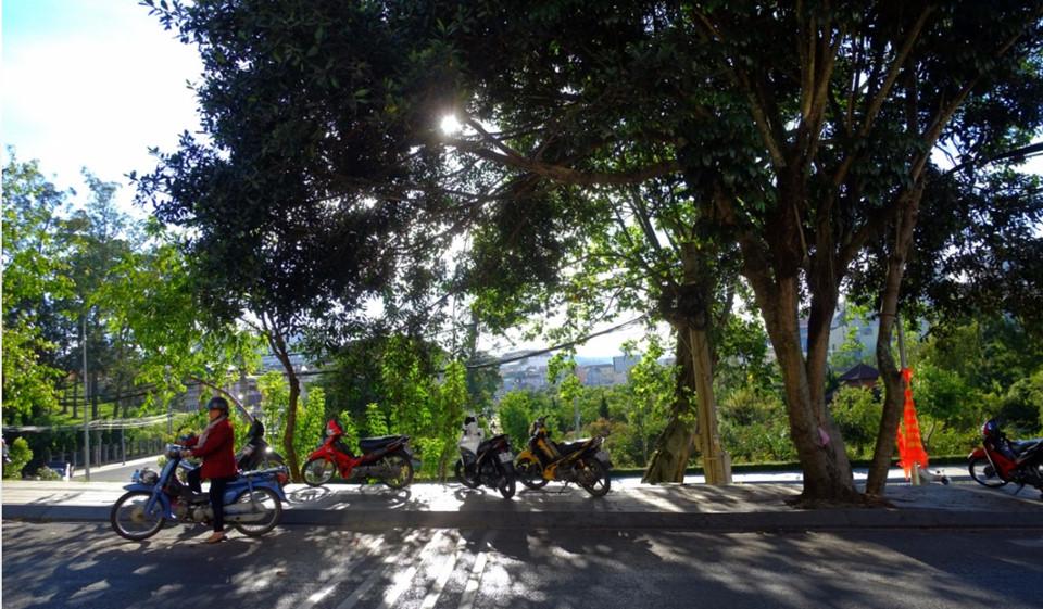 Đà Lạt mộng mơ trong 'Dấu ấn Việt Nam'-8