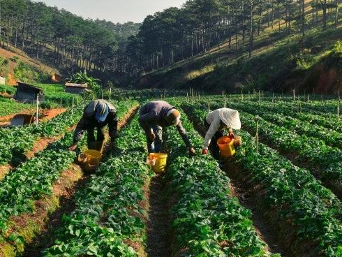 Đà Lạt mộng mơ trong 'Dấu ấn Việt Nam'