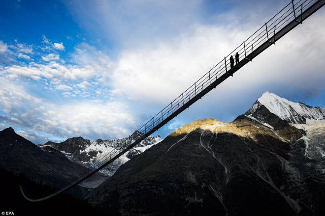 Cầu treo đi bộ dài nhất thế giới mở của đón du khách-10