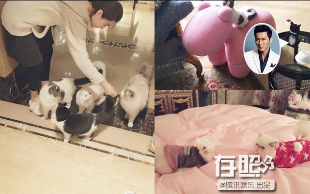 Chiêm ngưỡng căn hộ đắt tiền của Phạm Băng Băng, Angela Baby và dàn sao Hoa ngữ-1