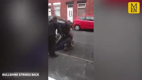 Tên tội phạm 'lầy' nhất năm: Cắn lại chó nghiệp vụ khi bị truy đuổi-2