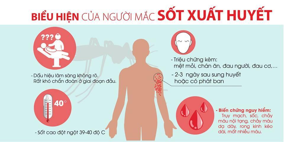 Sốt xuất huyết: Nhập viện ngay khi có 5 dấu hiệu này-1