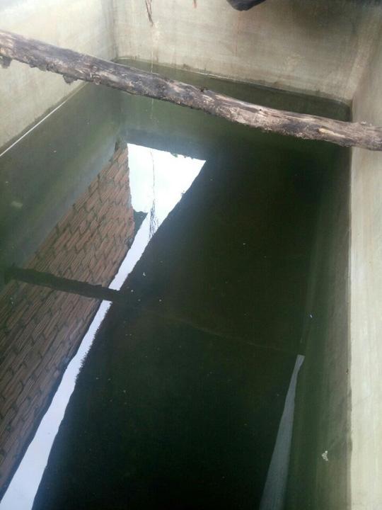 Rùng mình nghi án đổ thuốc độc vào bể nước khiến cả gia đình suýt mất mạng-1