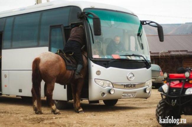 Bạn có đủ bình tĩnh khi bắt gặp những cảnh này-1