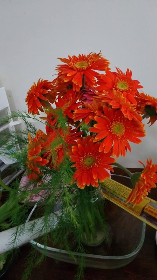 'Sốt rét' vì team mẹ chồng vô duyên: mua cúc vàng tặng sinh nhật cháu, xông vào ngủ cùng phòng con-3