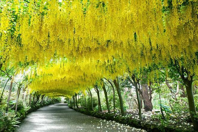 Mê mẩn ngắm 10 đường hầm tự nhiên đẹp nhất thế giới-7