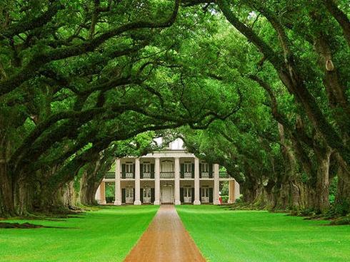 Mê mẩn ngắm 10 đường hầm tự nhiên đẹp nhất thế giới