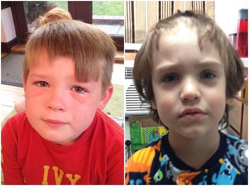 Clip hài: Chú chó 'bất lực' dỗ dành cậu chủ-1