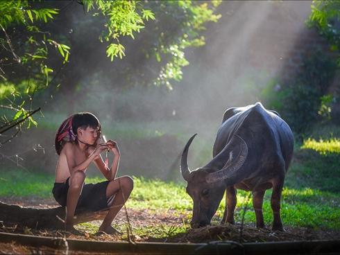 Miền núi, nông thôn, thành phố rực sắc màu qua ảnh 'Dấu ấn Việt Nam'