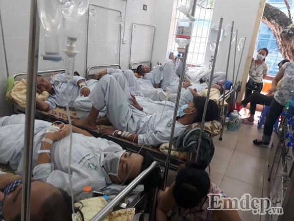 Khi mắc sốt xuất huyết, ngoài thuốc men cần ăn những món này vừa thanh nhiệt lại nhanh hồi phục-1