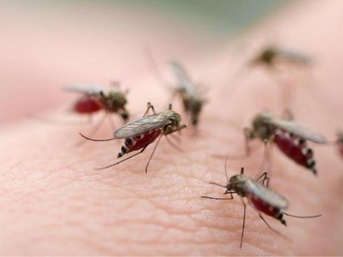 3 loại nước QUAN TRỌNG với bệnh nhân sốt xuất huyết, dùng nhưng phải đúng mới hiệu quả-2