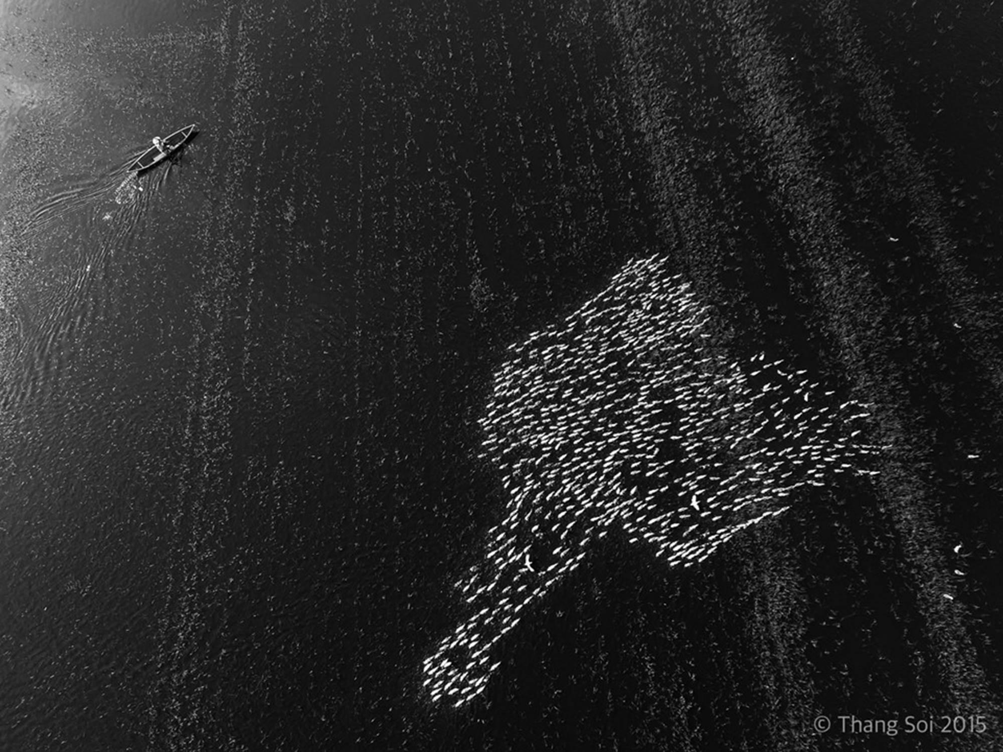 Dấu ấn Việt Nam nhìn từ bầu trời của giám khảo Thắng 'Sói'-6