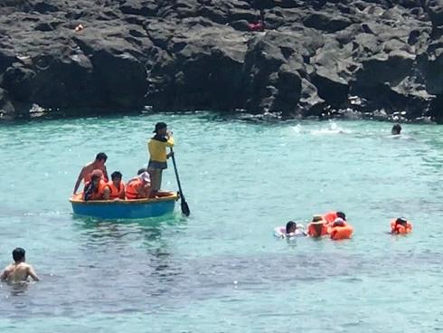 Clip: Du khách Việt thích thú ngắm 'thiên đường' của cá biển Lý Sơn