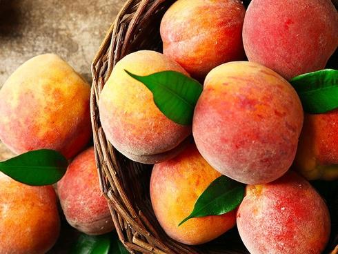 Từ nay ăn đào đừng gọt vỏ nữa mà phải lột như thế này, vừa nhanh sạch lại rất sướng mắt đã tay