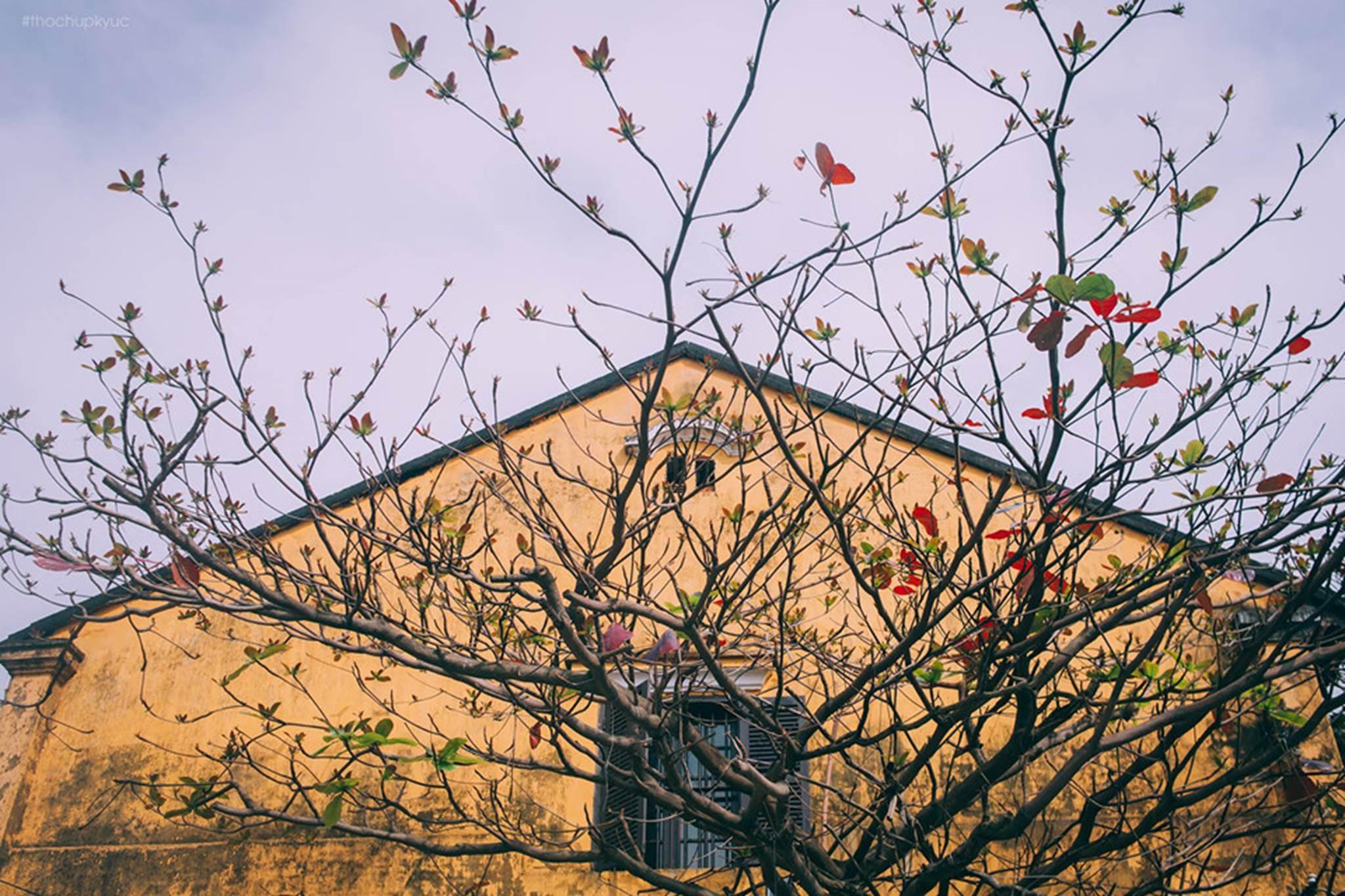 Một giờ 'lạc' ở Hội An-3