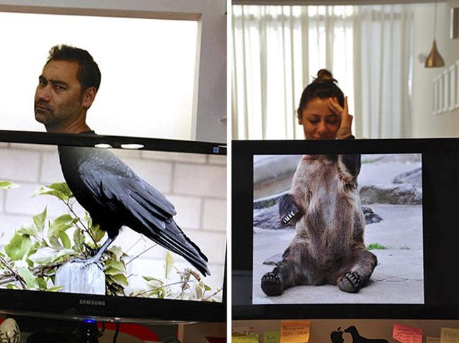 Lộ diện loạt ảnh đáng 'trăn trở' ở nơi công sở (P2)-8