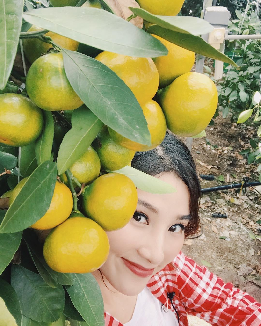 Tin sao Việt 4/8: Tăng Thanh Hà xuống phố - Trấn Thành 'thả thính' tình yêu-7