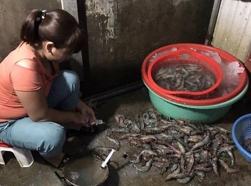 Rạng sáng ngày 2/8, đoàn kiểm tra liên ngành đã bắt quả tang một cơ sở đang thực hiện hành vi bơm tạp chất vào tôm tại khu vực chợ đầu mối phía Nam thuộc quận Hoàng Mai, Hà Nội. Được biết, nơi phát hiện bơm tạp chất là cơ sở kinh doanh của ông Lê Quang L. nằm ngoài chợ đầu mối phía Nam. Bước đầu lực lượng chức năng xác định cơ sở kinh doanh của ông L. đã bơm tạp chất arga vào tôm từ 3 - 4 tháng qua. Vụ việc đang được điều tra, xử lý.