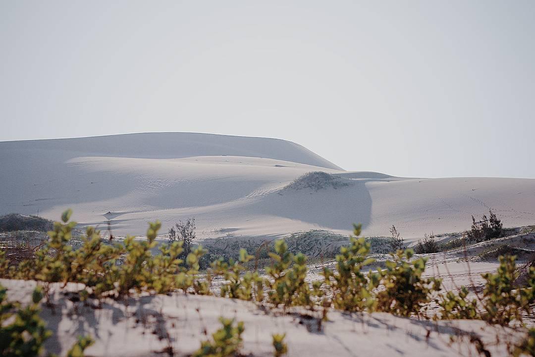 Bạn đã bật ra-đa xác định tọa độ của 'Dubai phiên bản Việt' chưa?-1