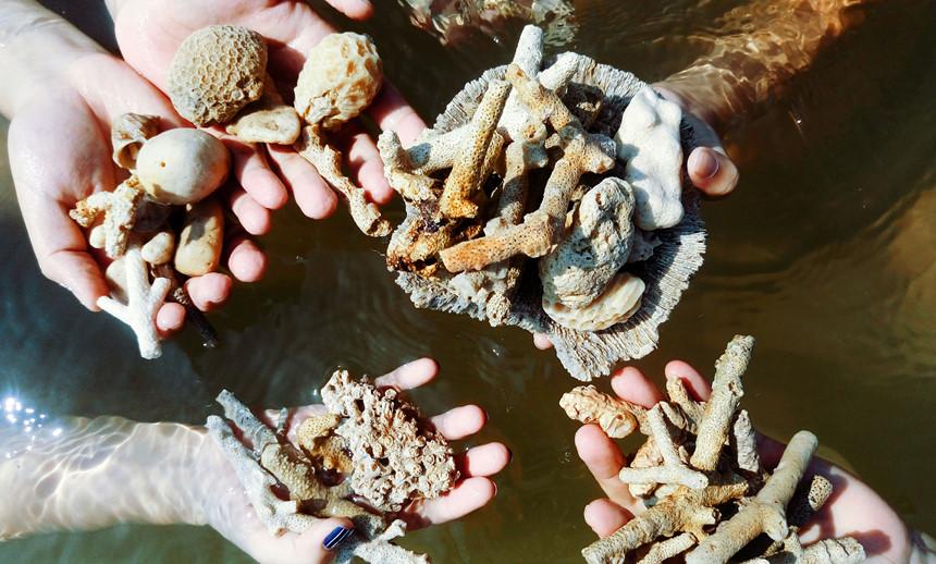 Những trải nghiệm tuyệt vời về du lịch Hải Phòng-7