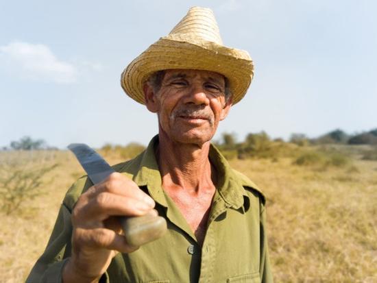 Bức ảnh 81 MP từ máy ảnh 16 camera