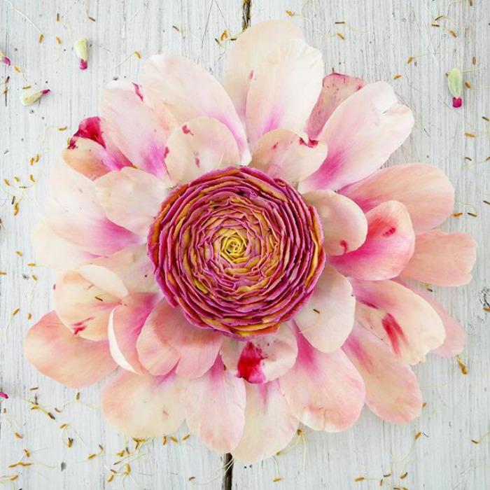 Ngắm không chớp mắt với những tuyệt tác từ bánh đẹp mê ly-14