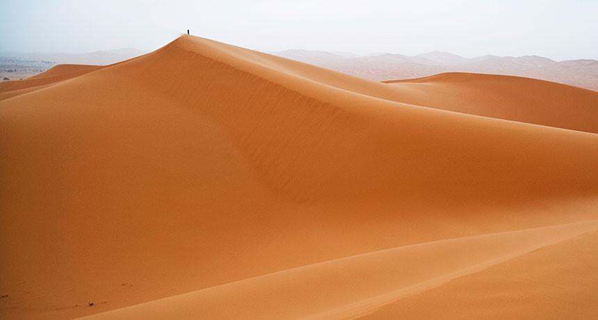 Những sự thật bất ngờ về sa mạc Sahara-2