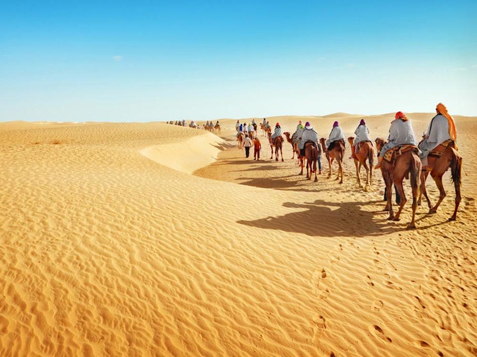 Những sự thật bất ngờ về sa mạc Sahara-6