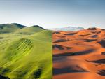 Những sự thật bất ngờ về sa mạc Sahara