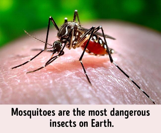 12 nguy hiểm có thể làm hỏng kỳ nghỉ của bạn-10