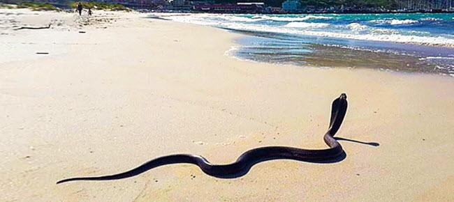 12 nguy hiểm có thể làm hỏng kỳ nghỉ của bạn-3