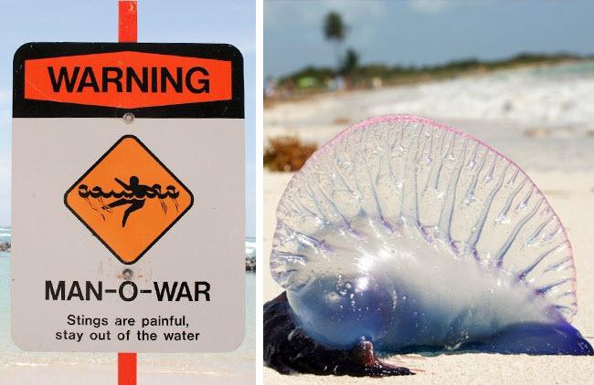 12 nguy hiểm có thể làm hỏng kỳ nghỉ của bạn-12