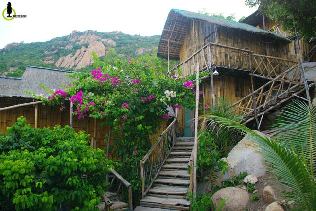 Khám phá bãi tắm đẹp lung linh, ăn tôm hùm giá 'bèo' bậc nhất Việt Nam-9