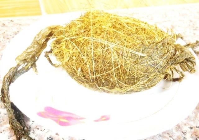 Nghệ An: Thịt lợn nái, phát hiện vật nghi là 'cát lợn' quý hiếm trị giá trăm tỉ đồng-1