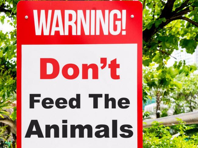 Nếu không muốn gặp nguy hiểm, tuyệt đối tránh 7 điều này khi đi du lịch-1