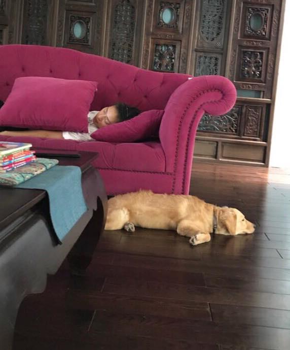 Tin sao Việt 7/8: Thu Trang chụp hình 'bá đạo' - Tăng Thanh Hà hóa thôn nữ-9