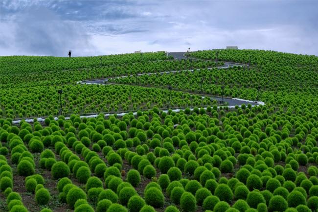 15 địa điểm khiến bạn bỏ tất cả để khám phá thế giới-8