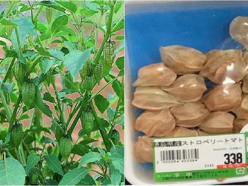 Tiểu đường, dạ dày, viêm họng hết ngay nhờ thứ này!