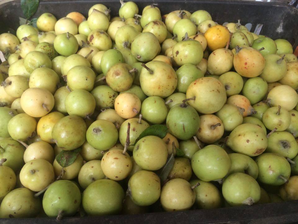 Cảnh báo: 11 thực phẩm cần tránh khi mang thai-4