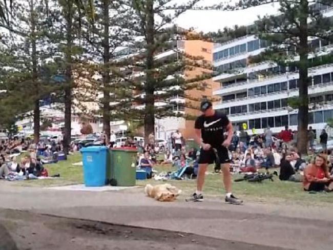 Clip: Phì cười với chú chó 'giả chết ăn vạ' trên đường vì không muốn rời công viên-3