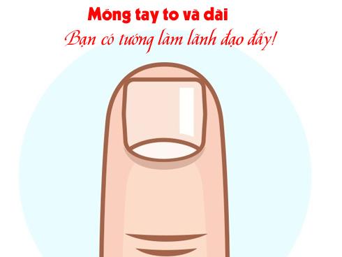 Thật ngạc nhiên khi nhìn móng tay cái có thể đoán được tính cách của người khác